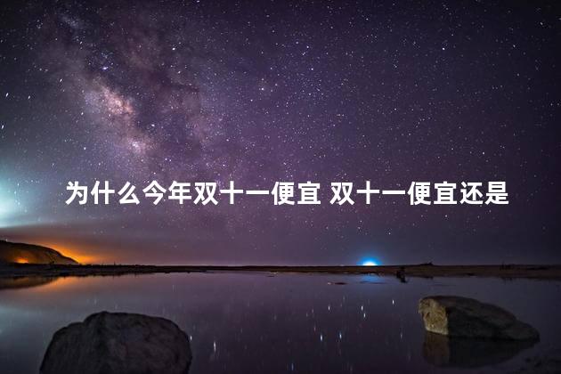 为什么今年双十一便宜 双十一便宜还是过年便宜